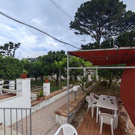 فندق Casa Ferraro Marina Grande  المظهر الخارجي الصورة